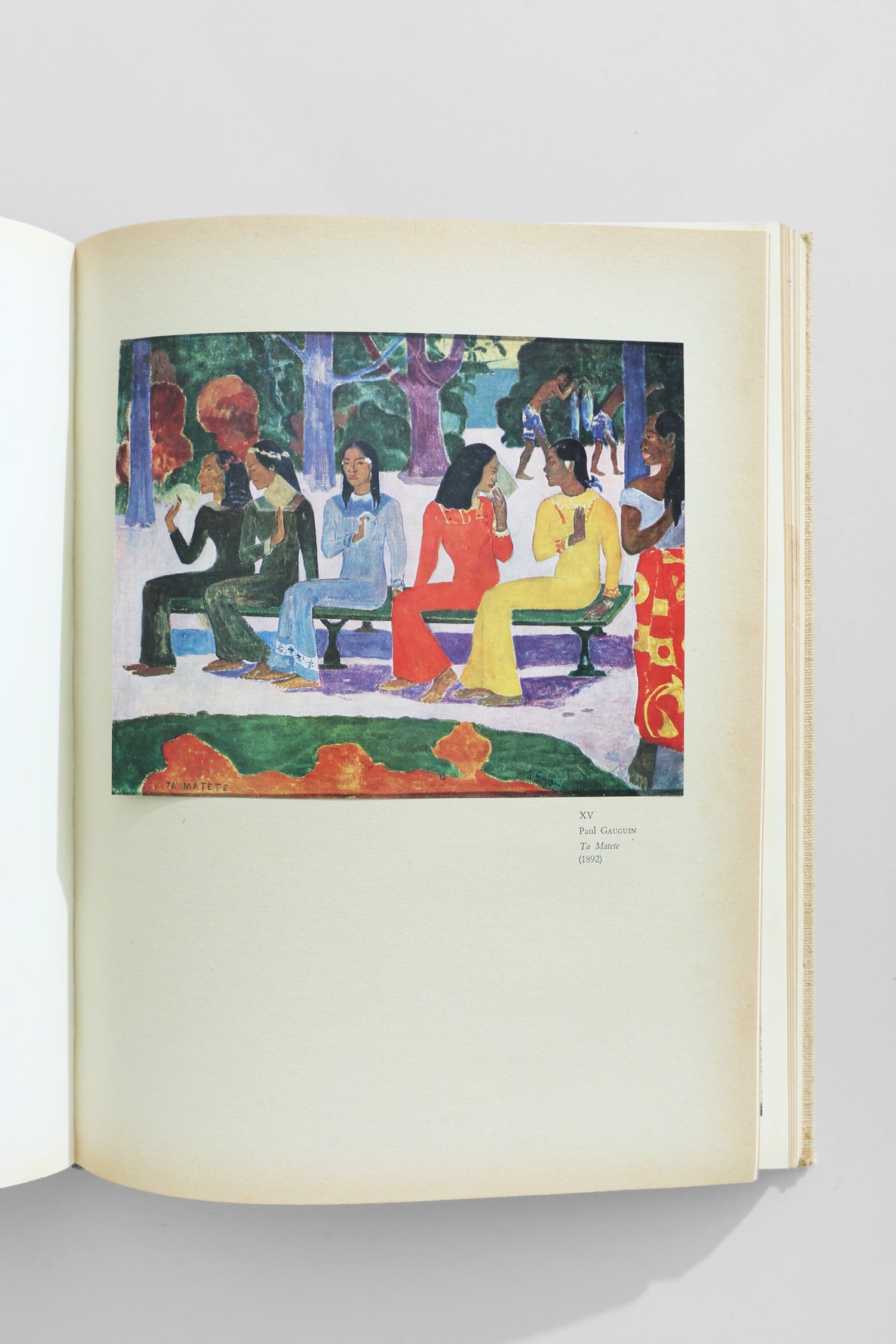 Gateway to the Twentieth Century Book