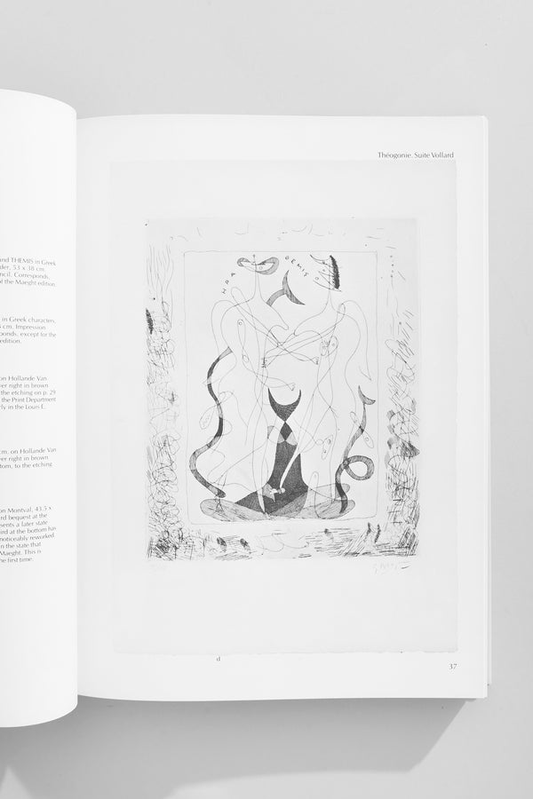 Braque, The Complete Graphics Book