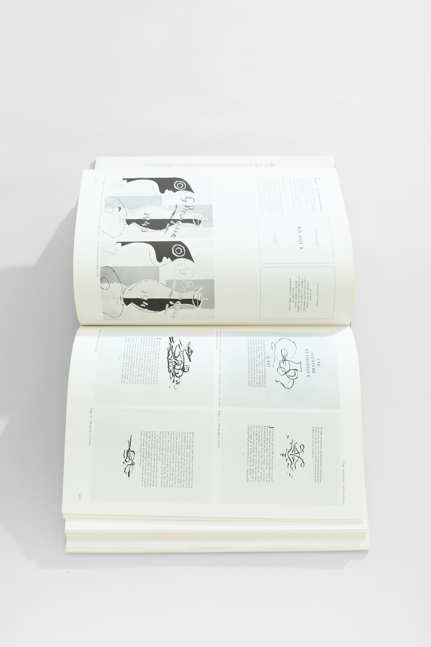Braque, The Complete Graphics Book