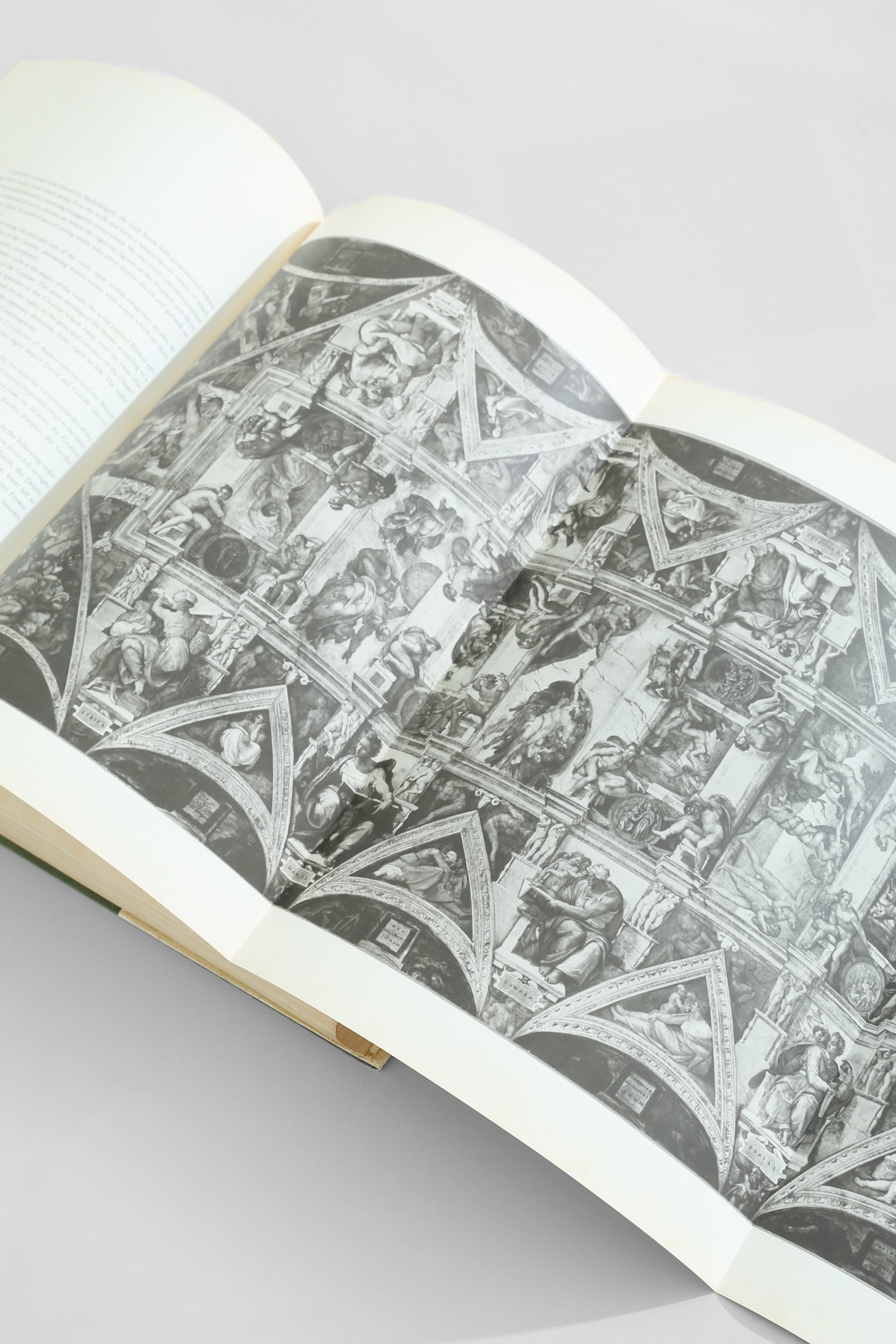 Michelangelo, The Painter Book