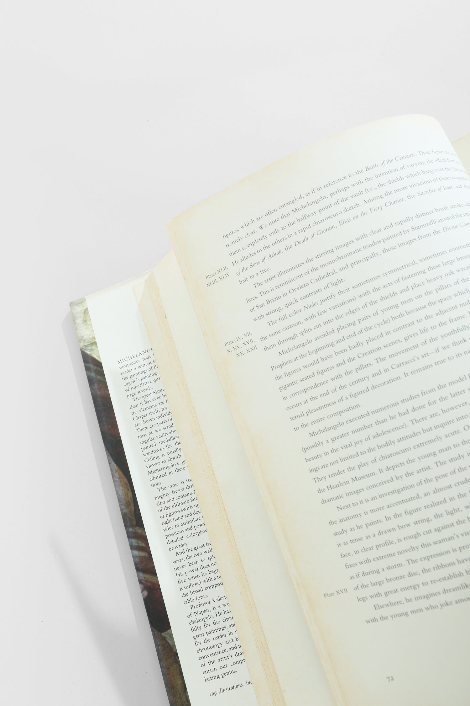Michelangelo, The Painter Book