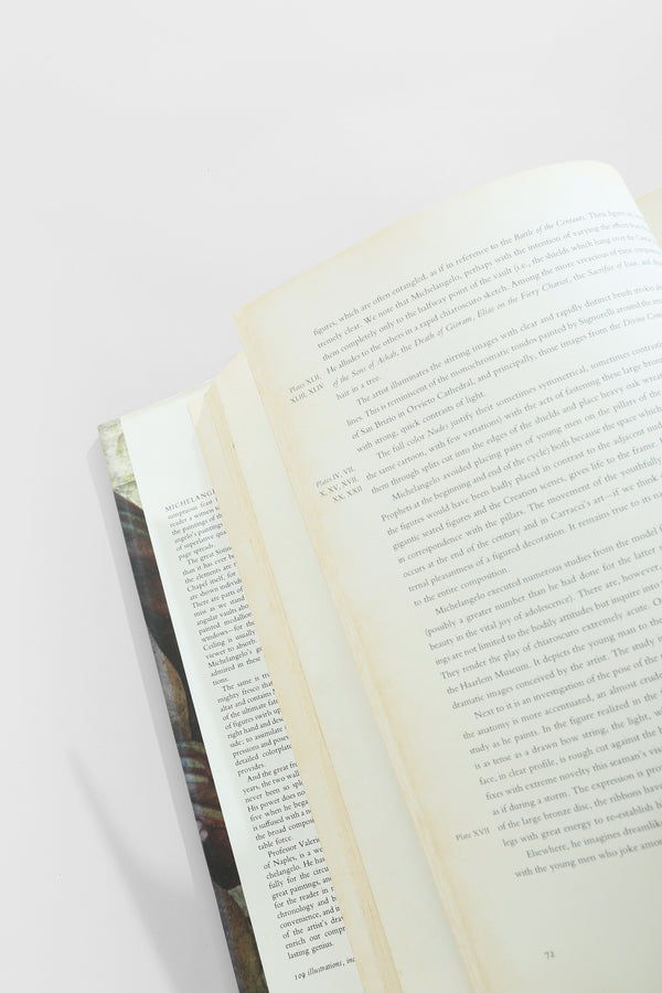 Michelangelo, The Painter Book