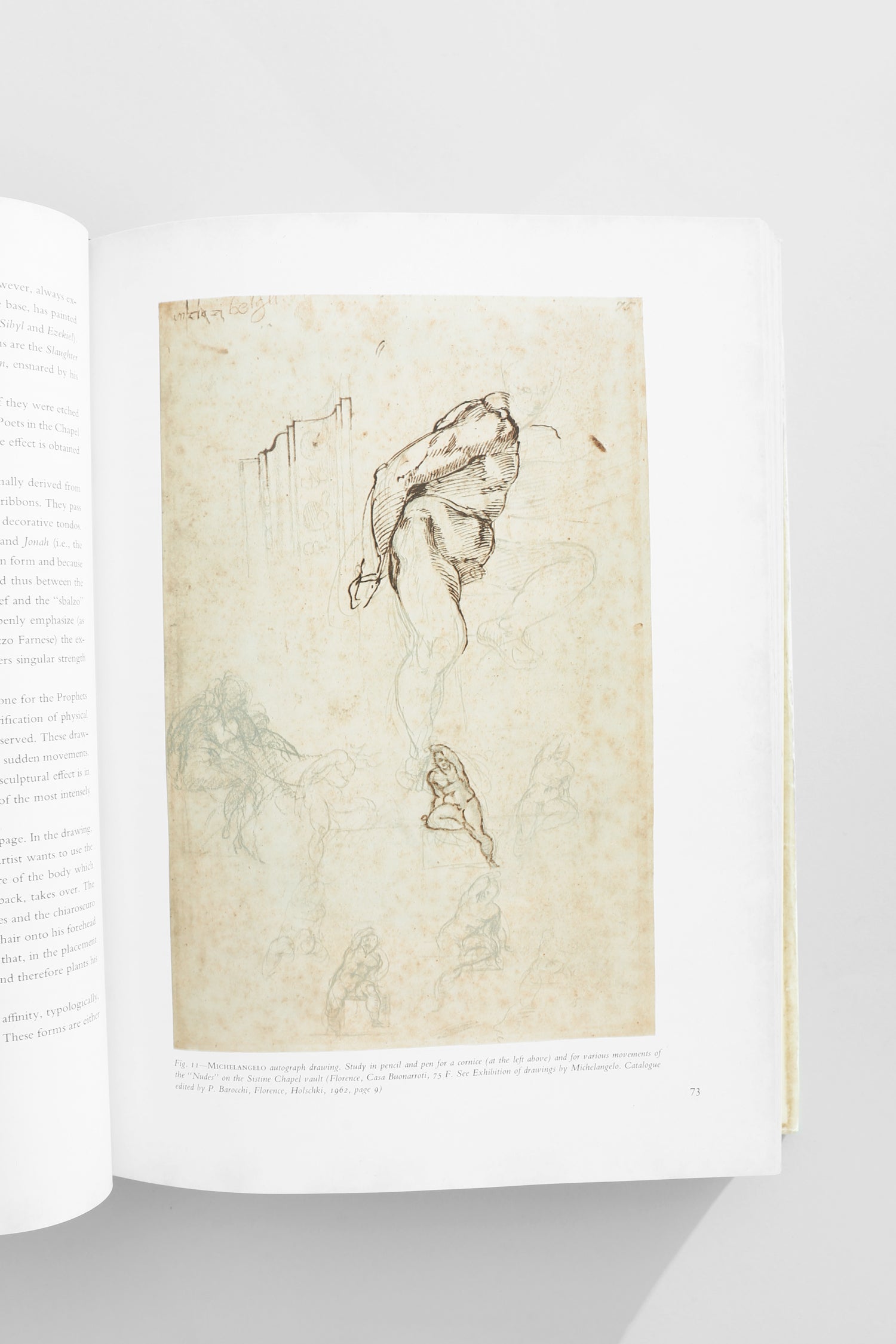 Michelangelo, The Painter Book