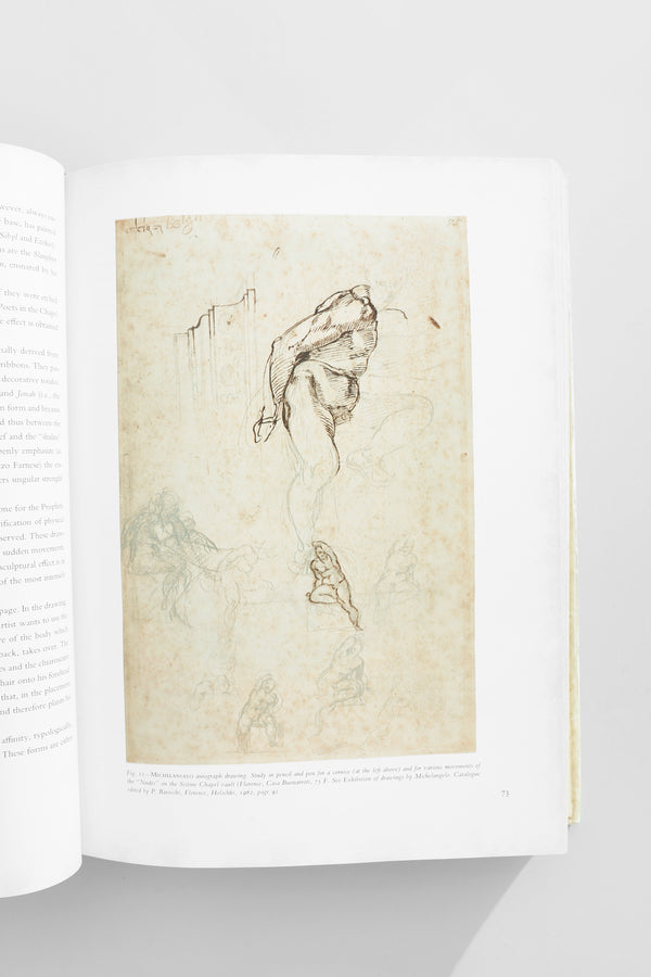 Michelangelo, The Painter Book