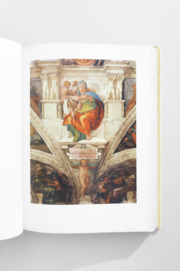 Michelangelo, The Painter Book