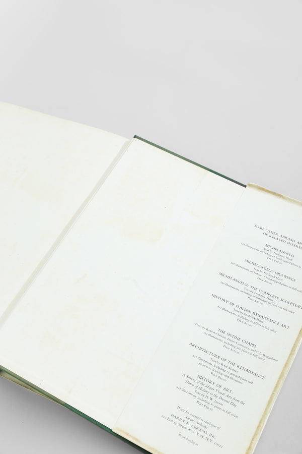 Michelangelo, The Painter Book