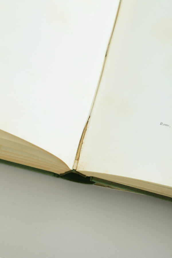 Michelangelo, The Painter Book