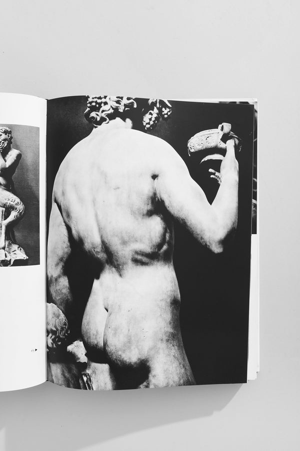 Michelangelo, The Complete Sculpture Book