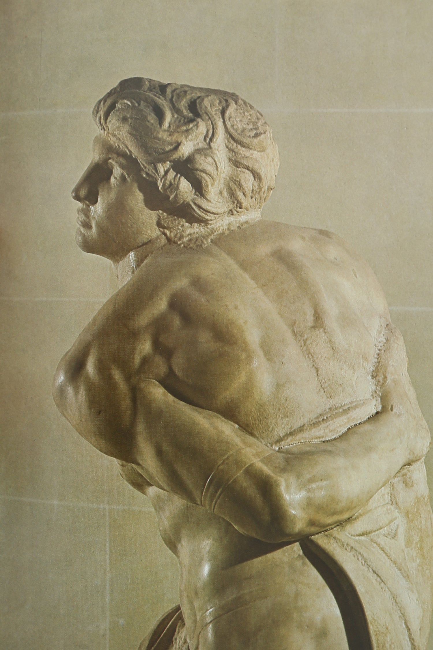 Michelangelo, The Complete Sculpture Book