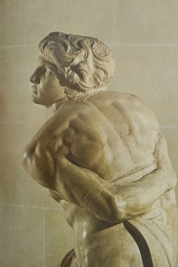 Michelangelo, The Complete Sculpture Book