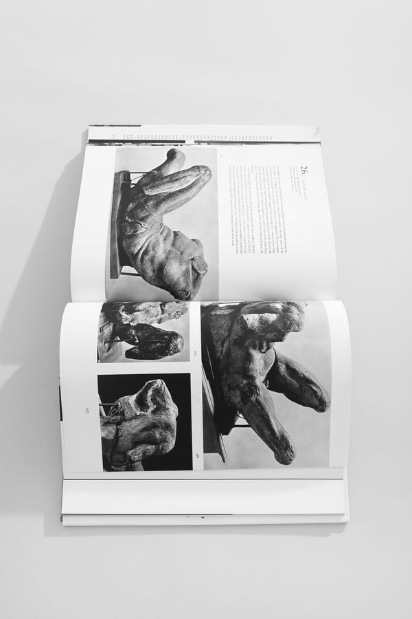 Michelangelo, The Complete Sculpture Book