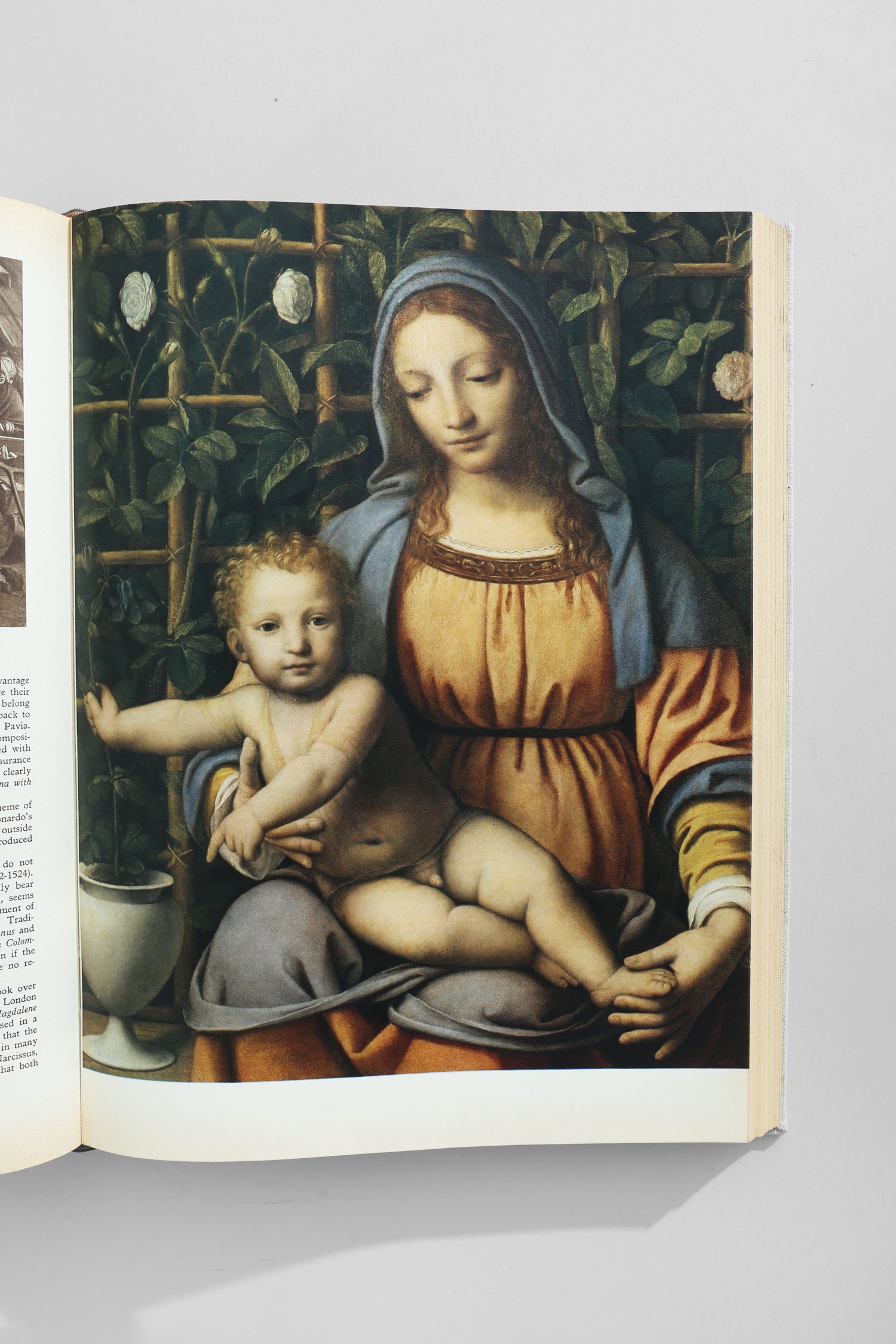 Leonardo da Vinci Book