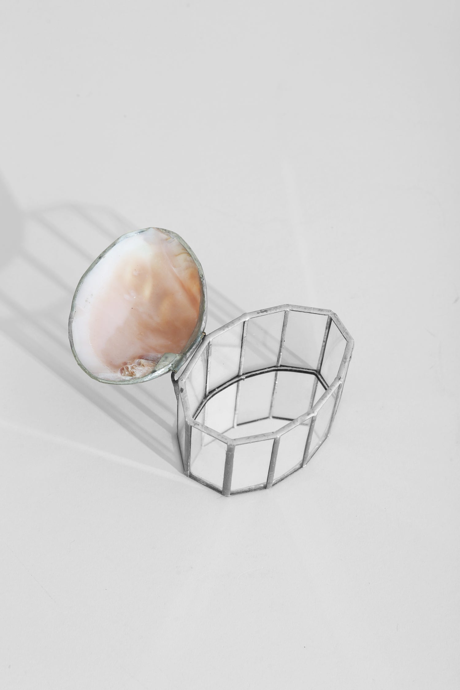 Shell Jewelry Box
