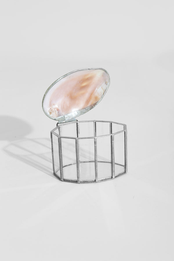 Shell Jewelry Box
