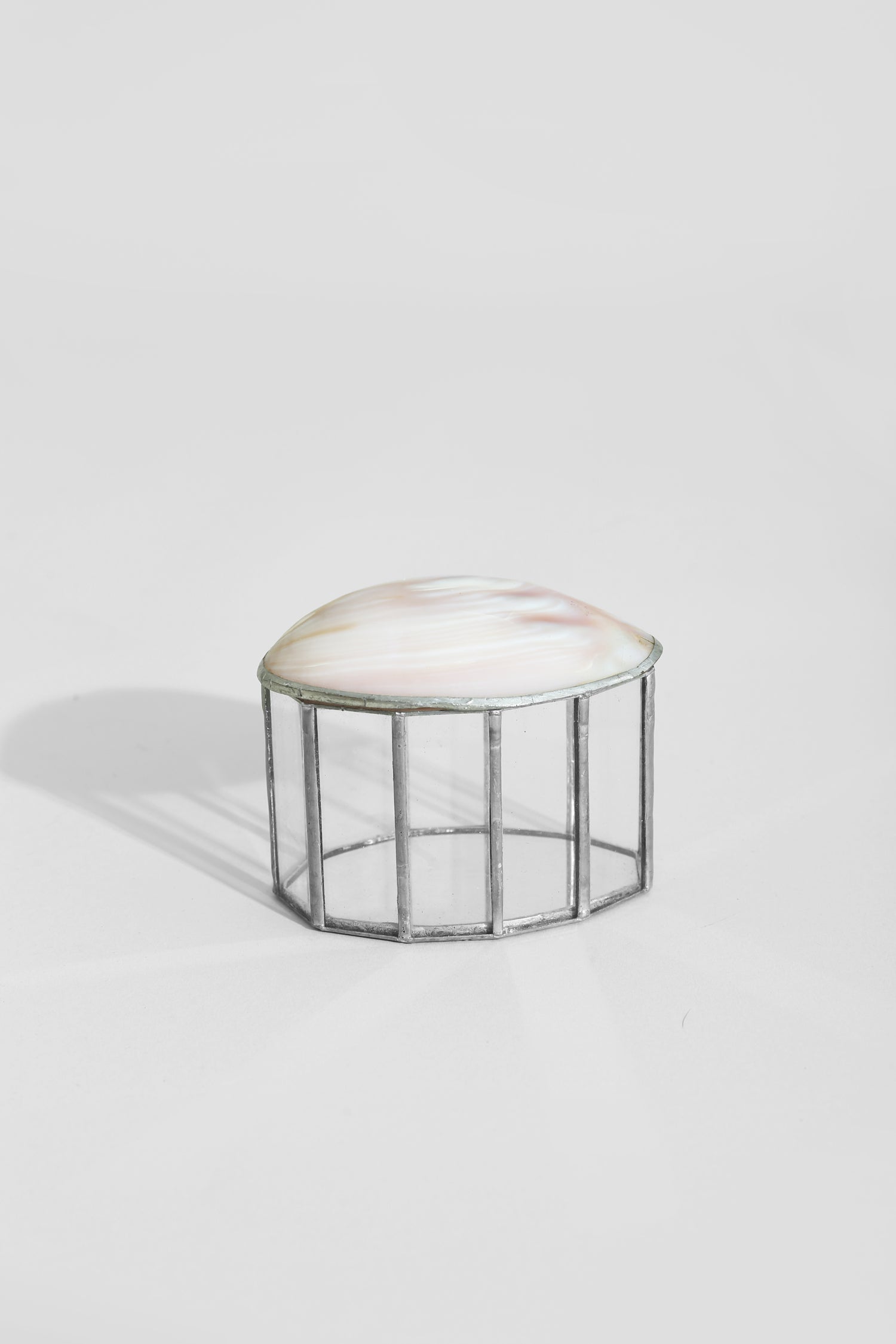 Shell Jewelry Box