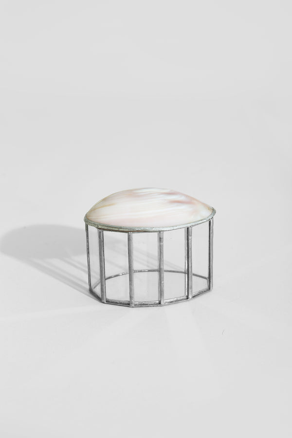 Shell Jewelry Box