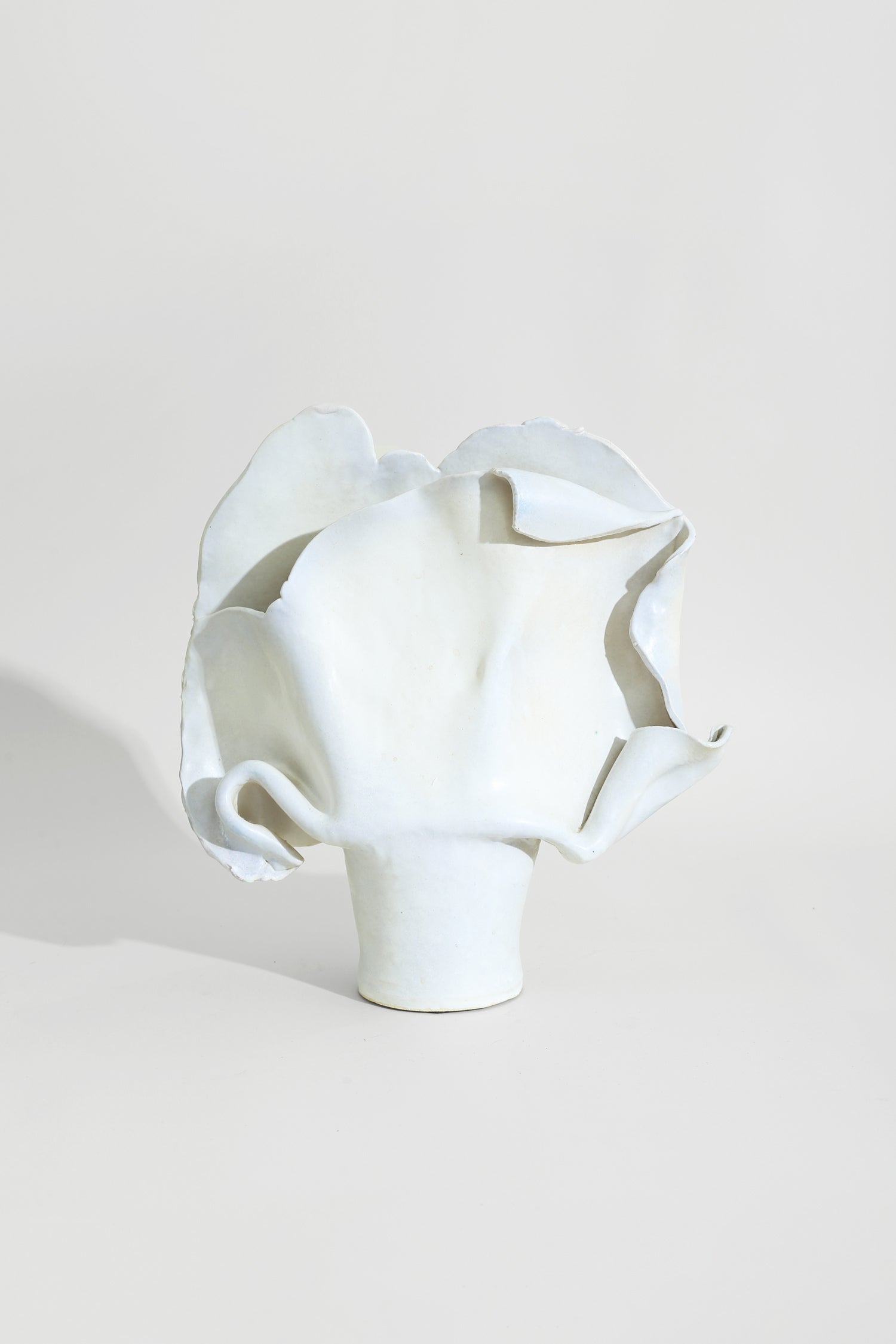 Organic Pottery Vase