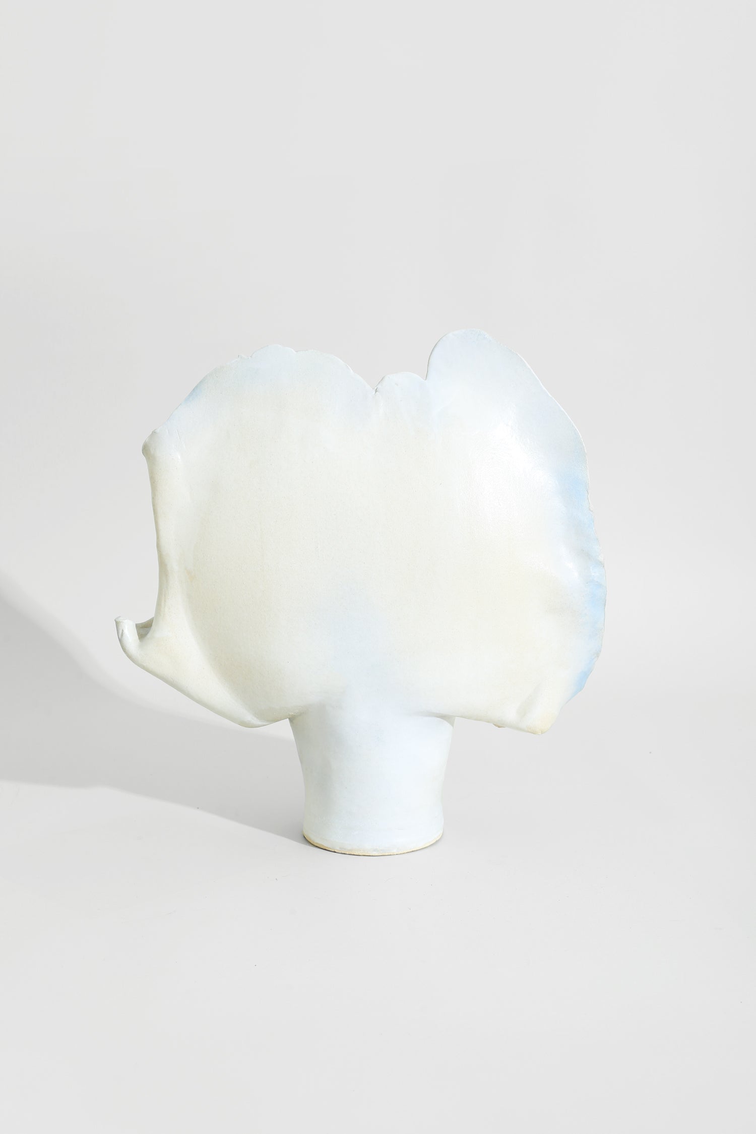 Organic Pottery Vase