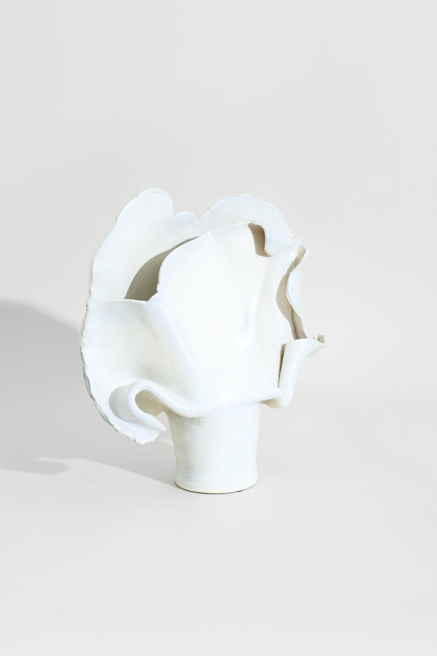 Organic Pottery Vase