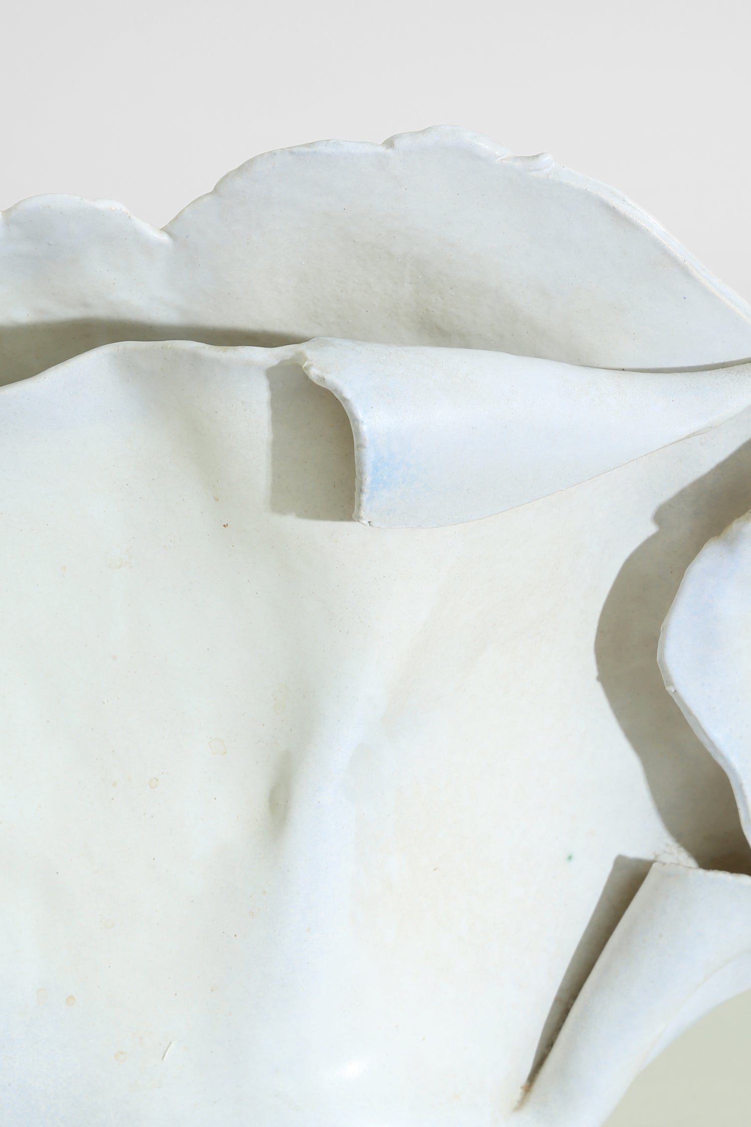 Organic Pottery Vase