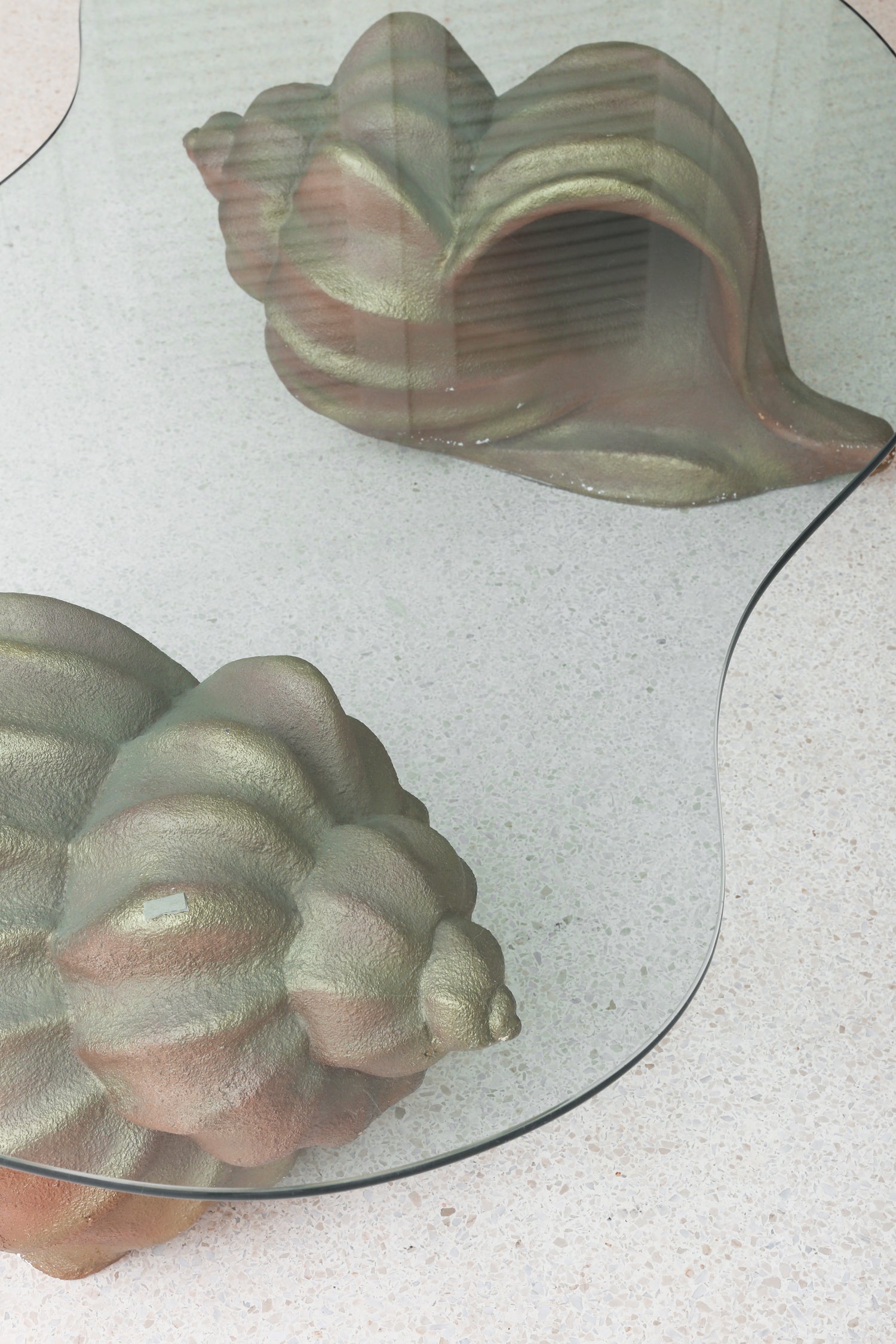 Conch Shell Coffee Table