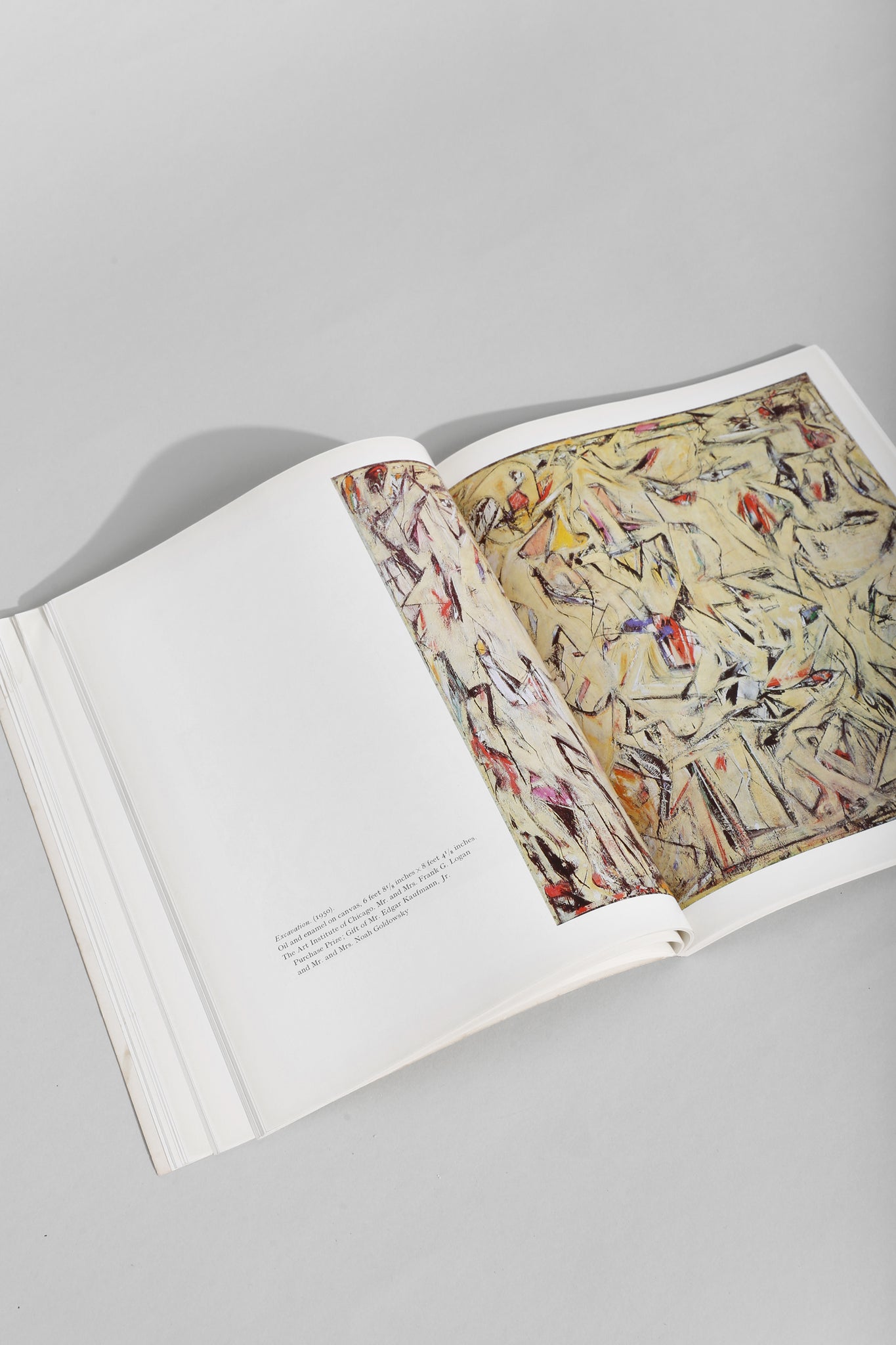 Willem de Kooning Book