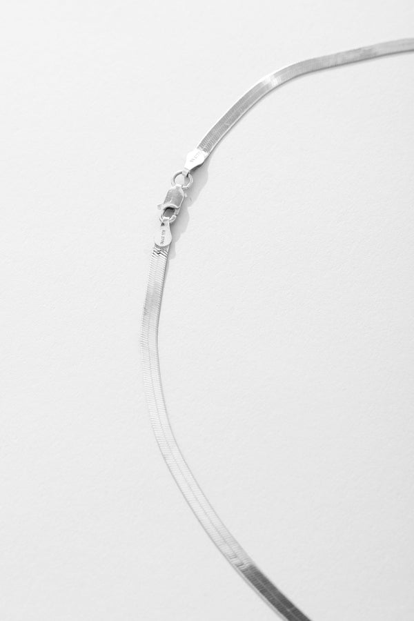 Shell & Herringbone Necklace