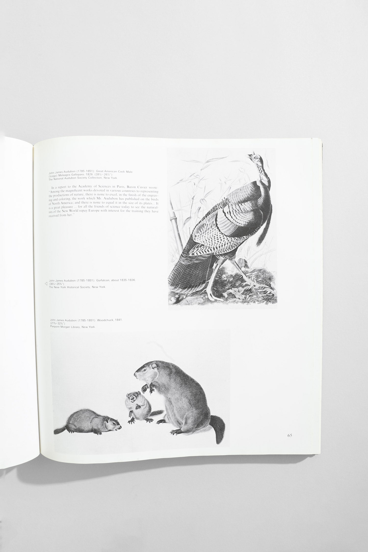 American Realism Book