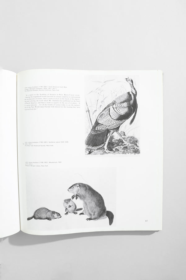 American Realism Book