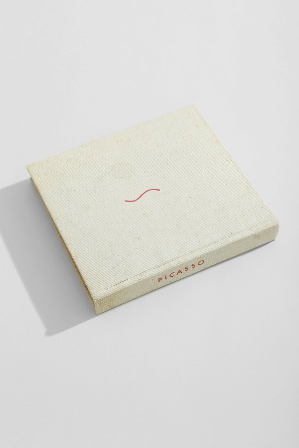 Picasso Book
