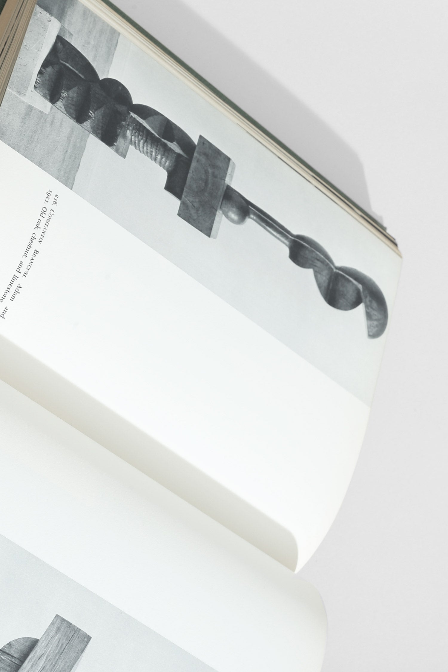 The Art of Sculpture Book