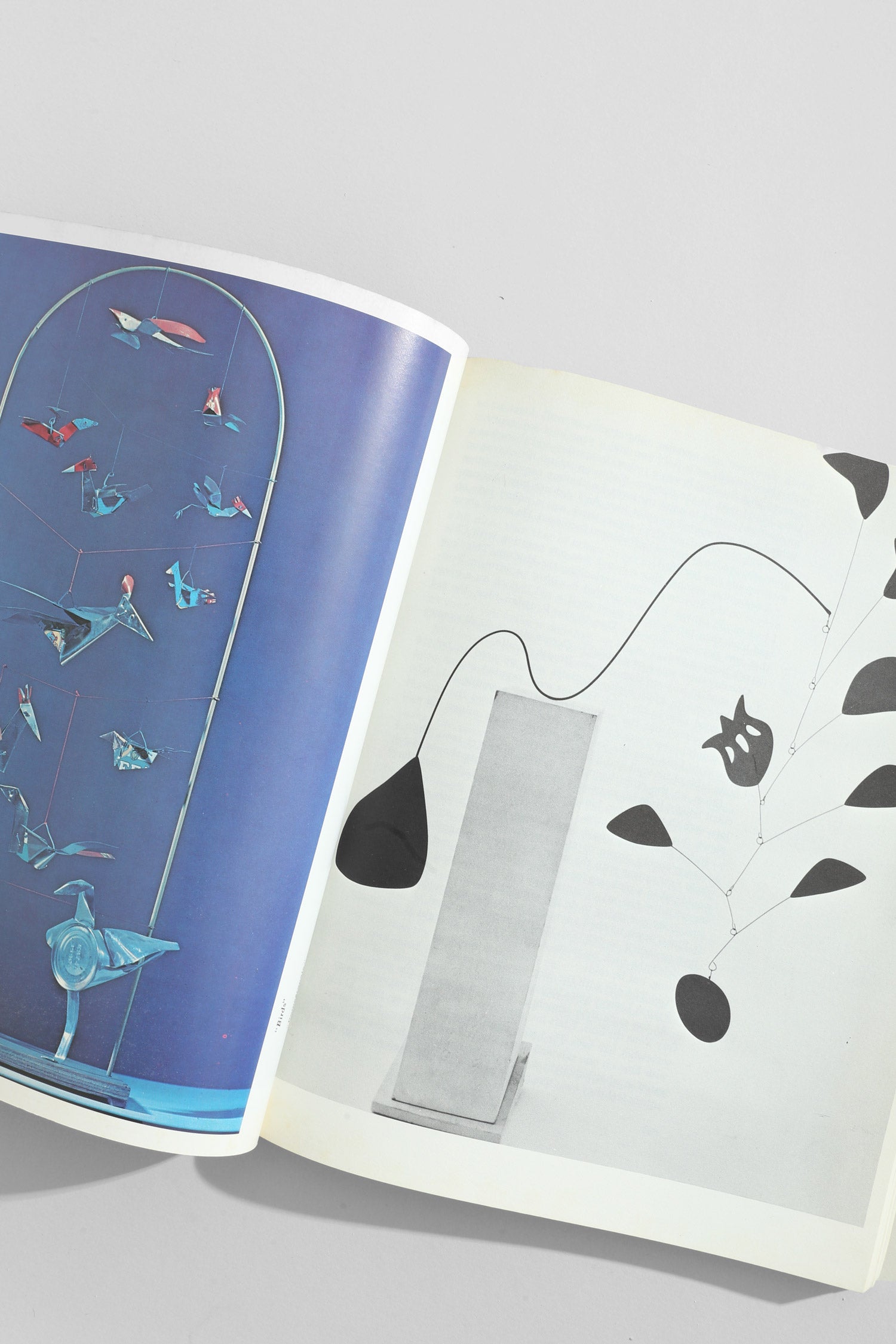 Calder Book