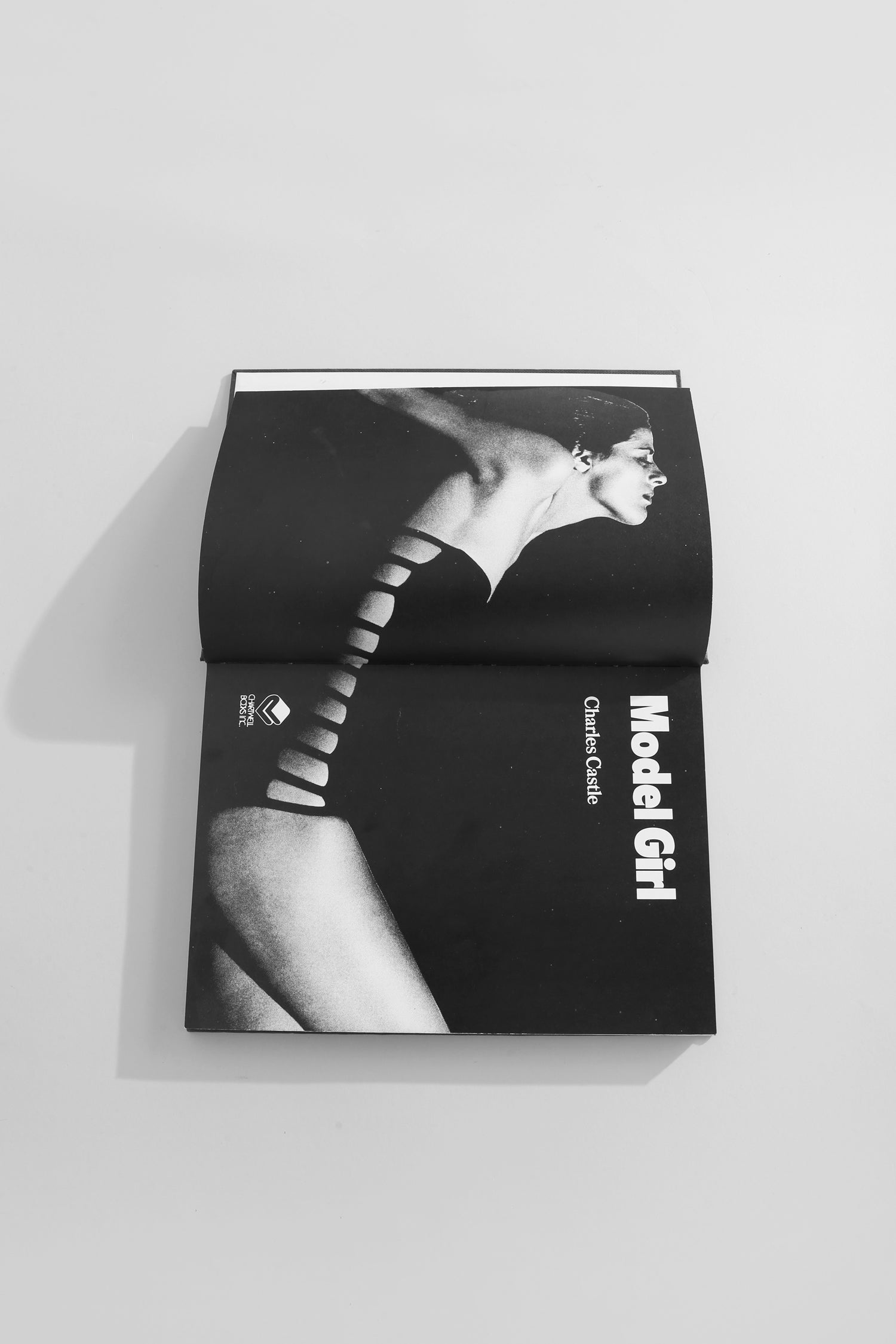 Model Girl Book