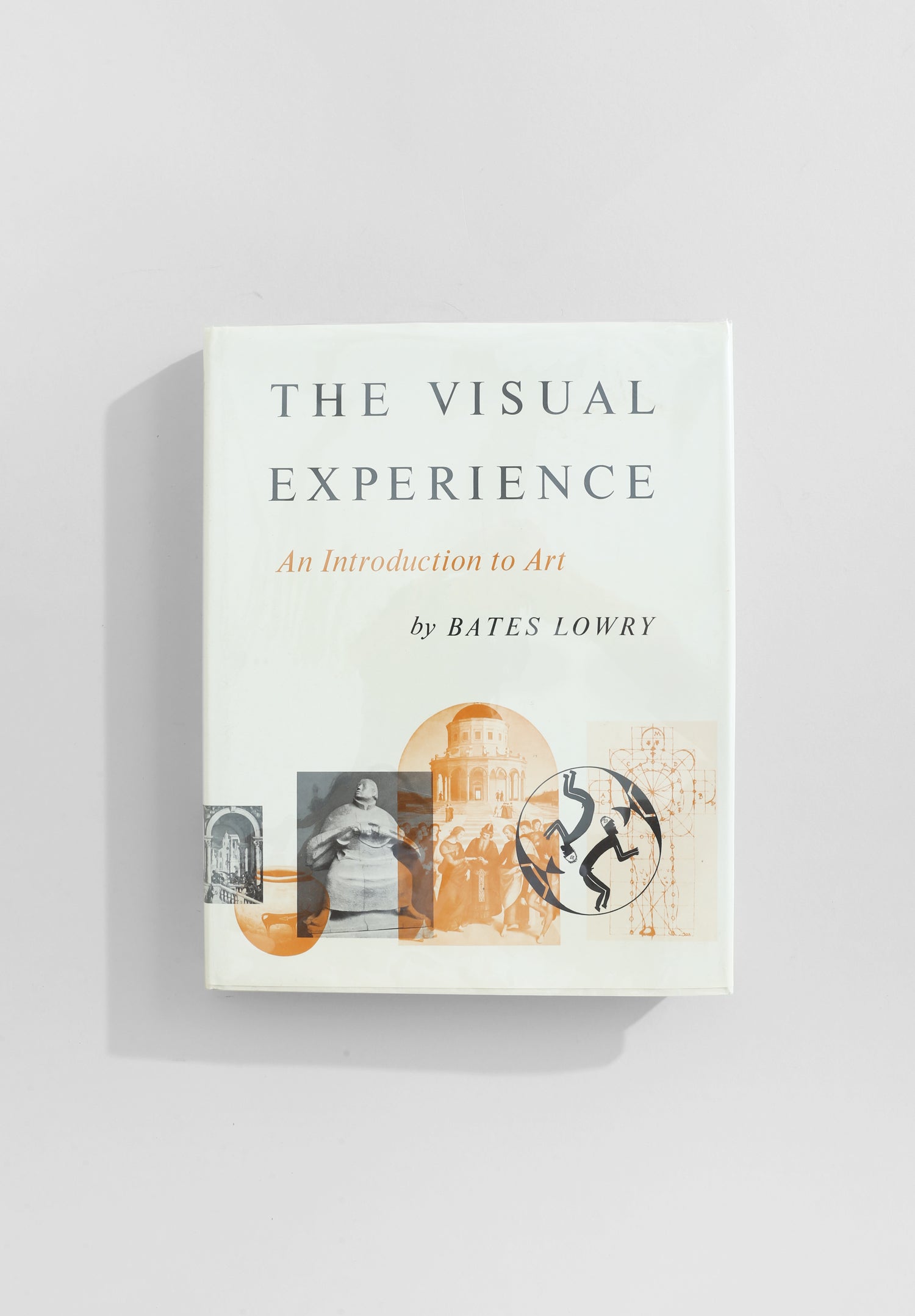 The Visual Experience Book