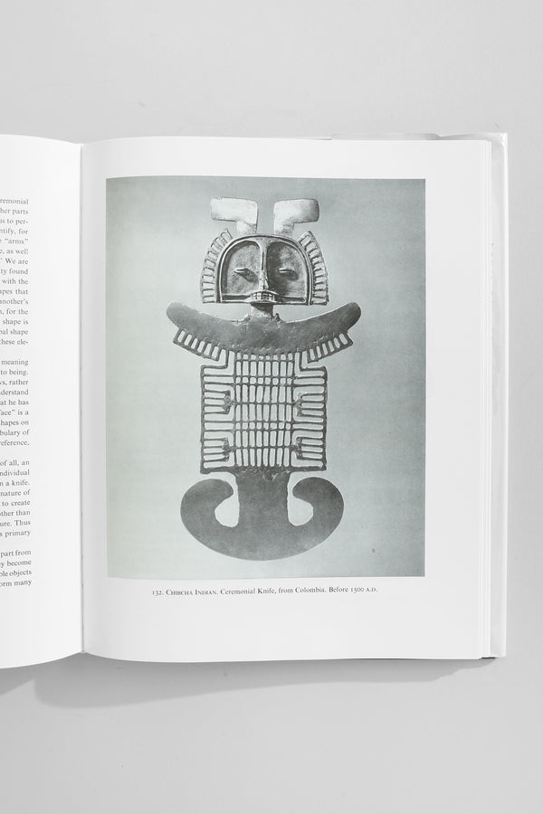 The Visual Experience Book