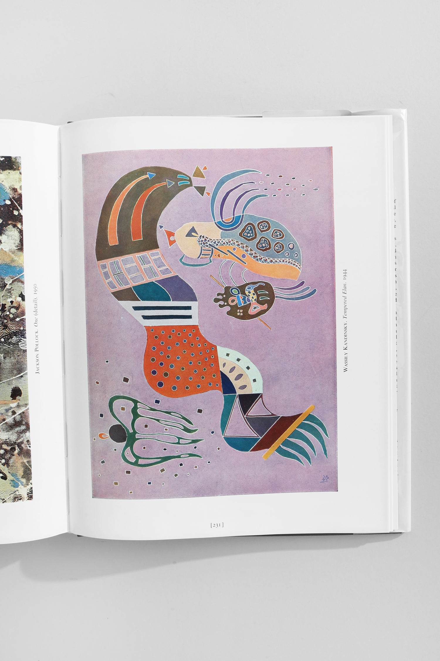 The Visual Experience Book