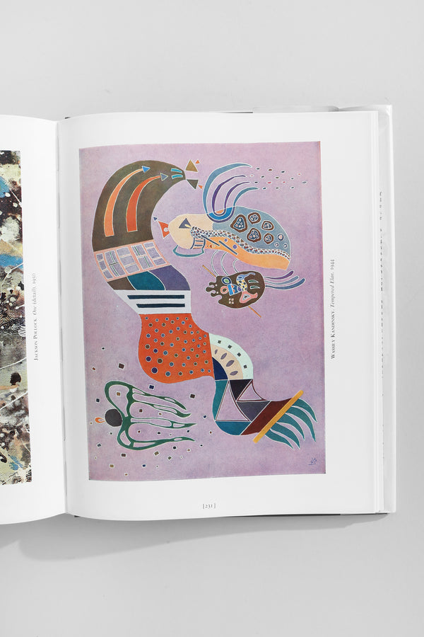 The Visual Experience Book