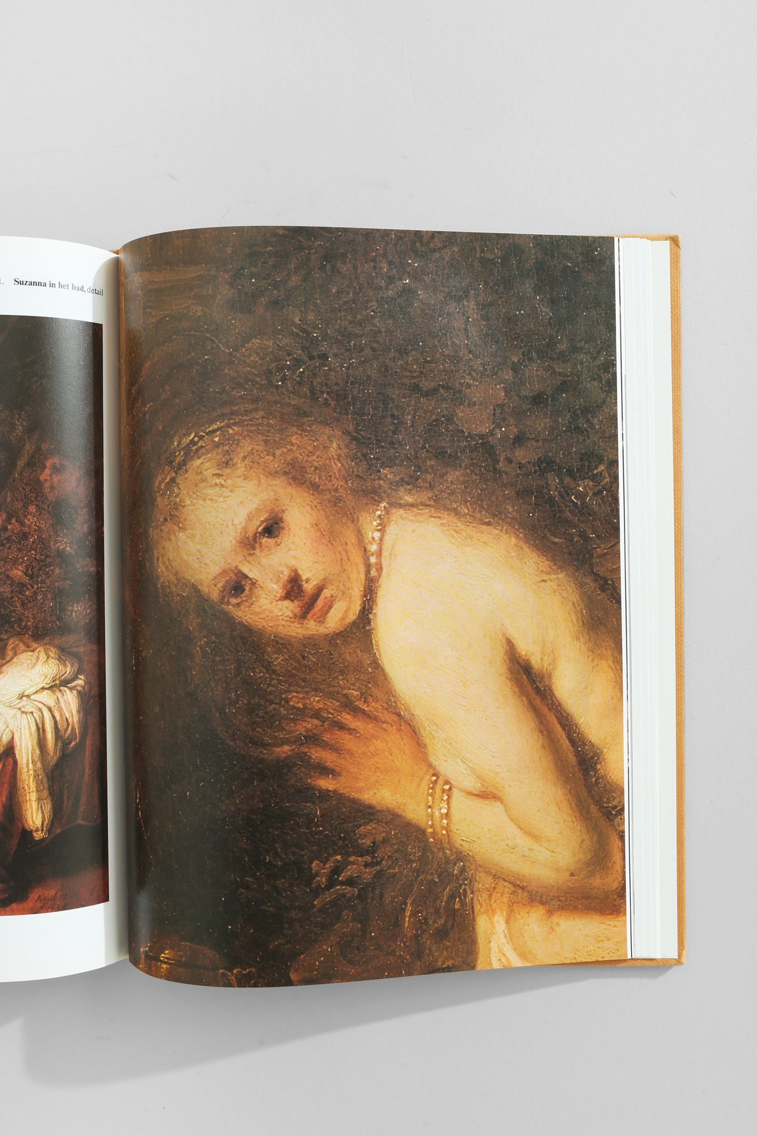 Rembrandt Book