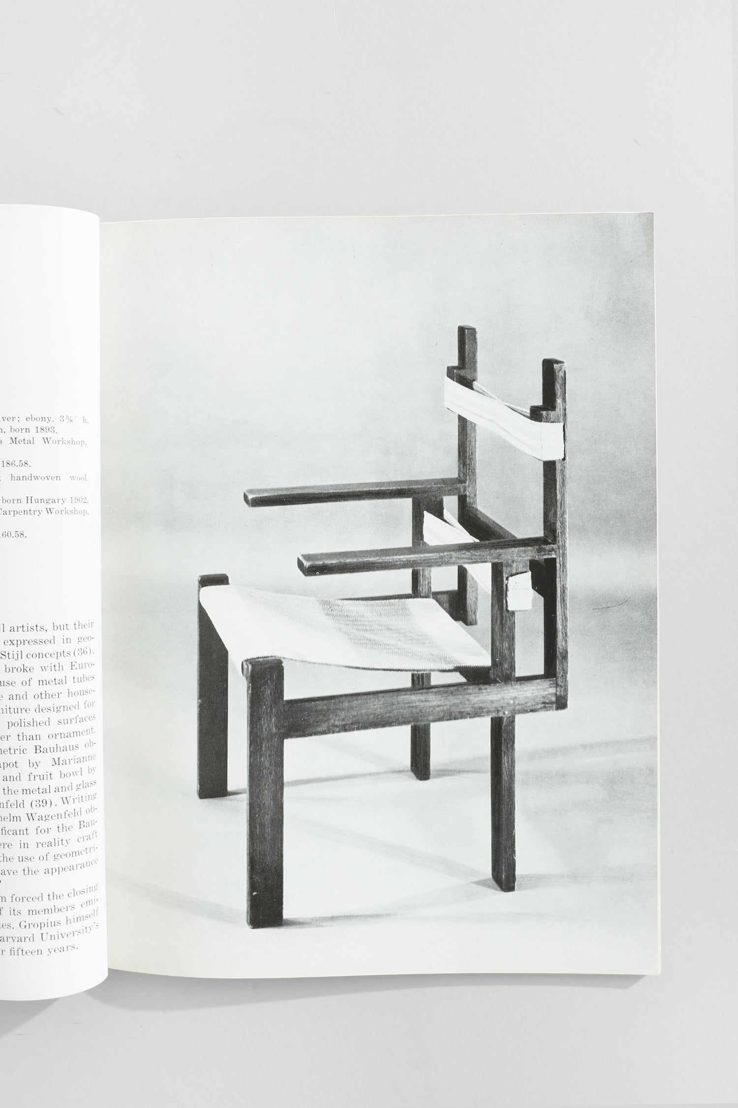 Introduction to Twentieth Century Design Book