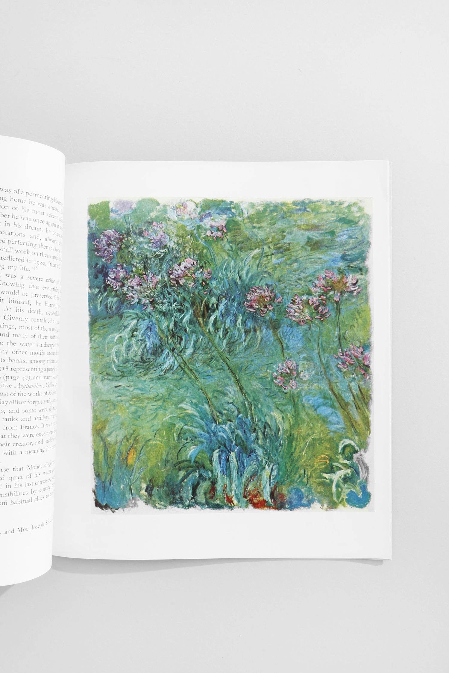 Claude Monet: Seasons and Moments Book