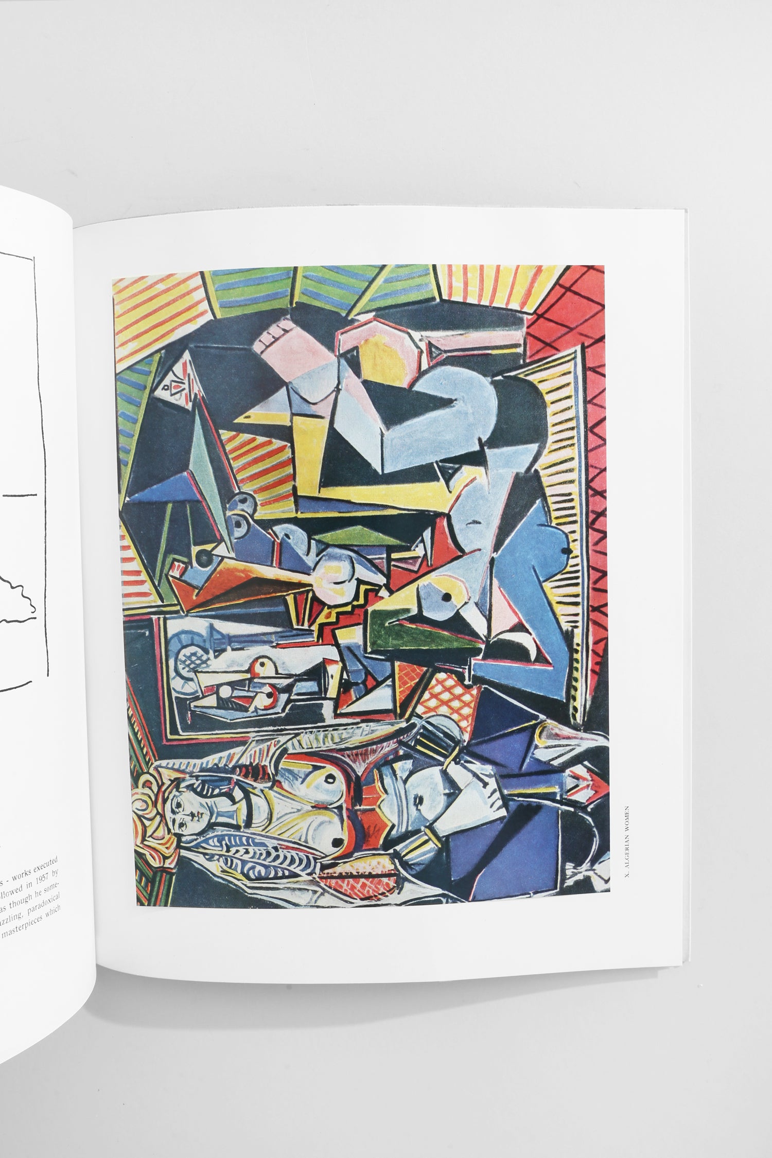 Picasso Book