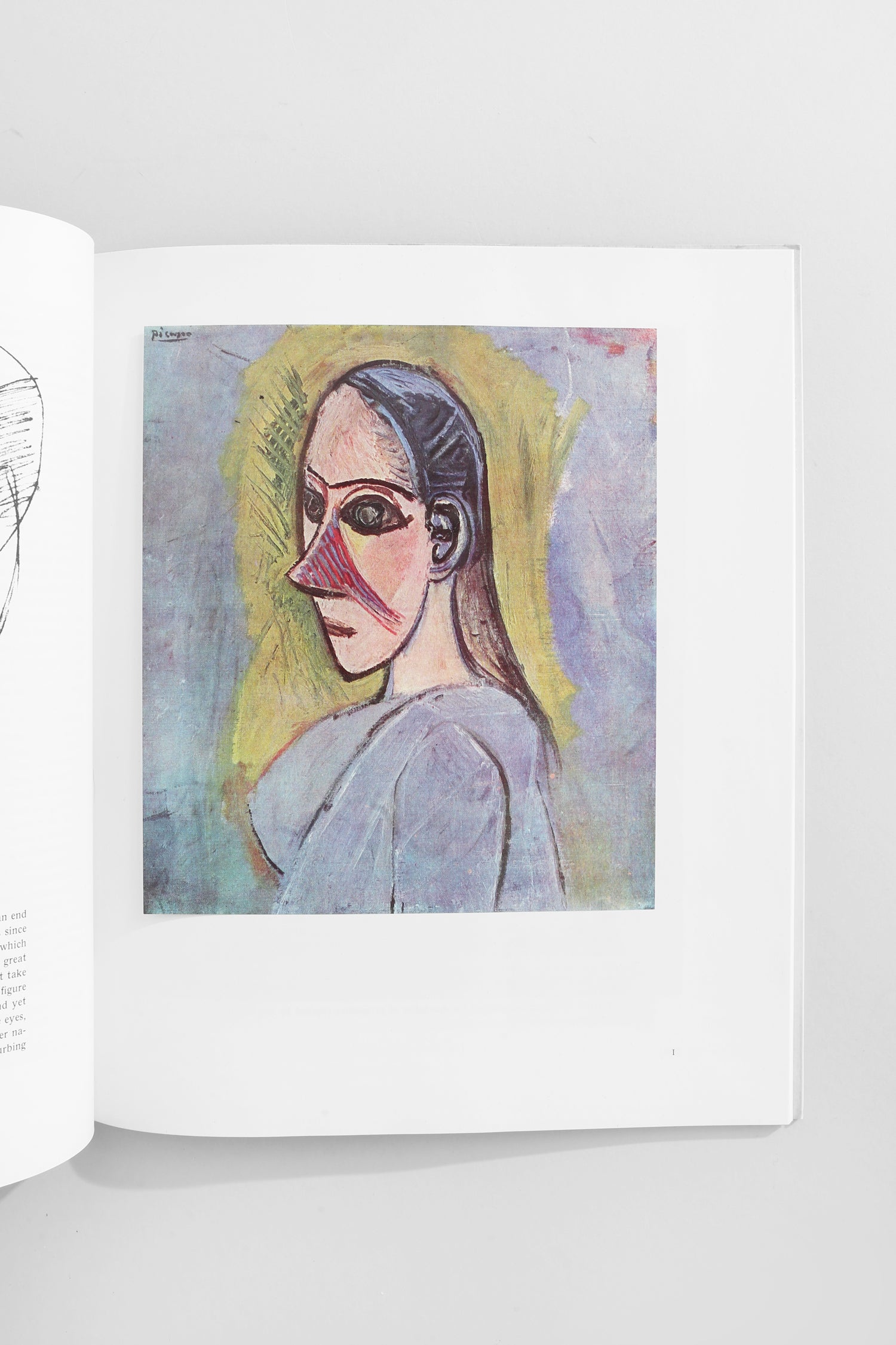 Picasso Book