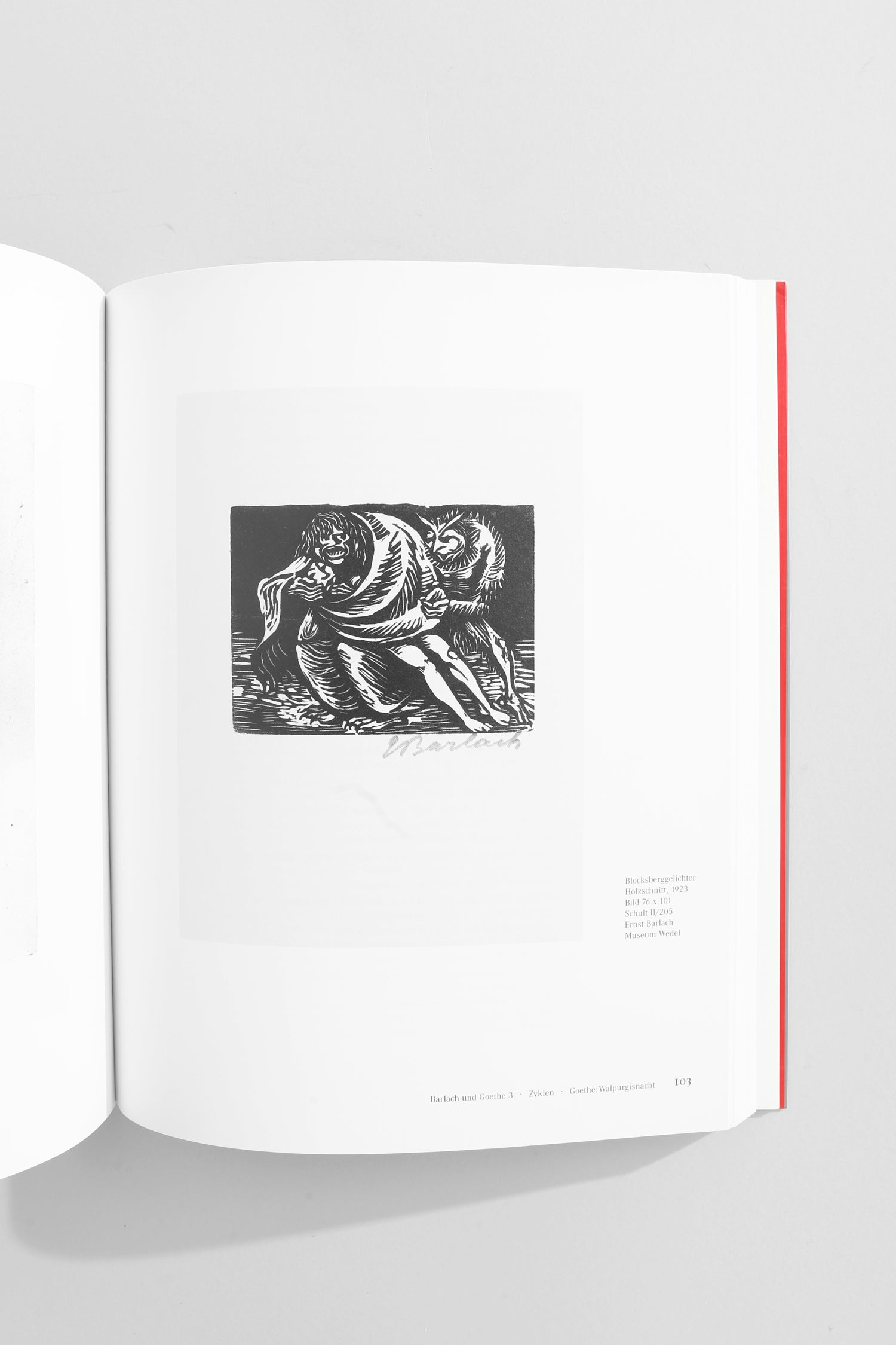 Barlach und Goethe Book