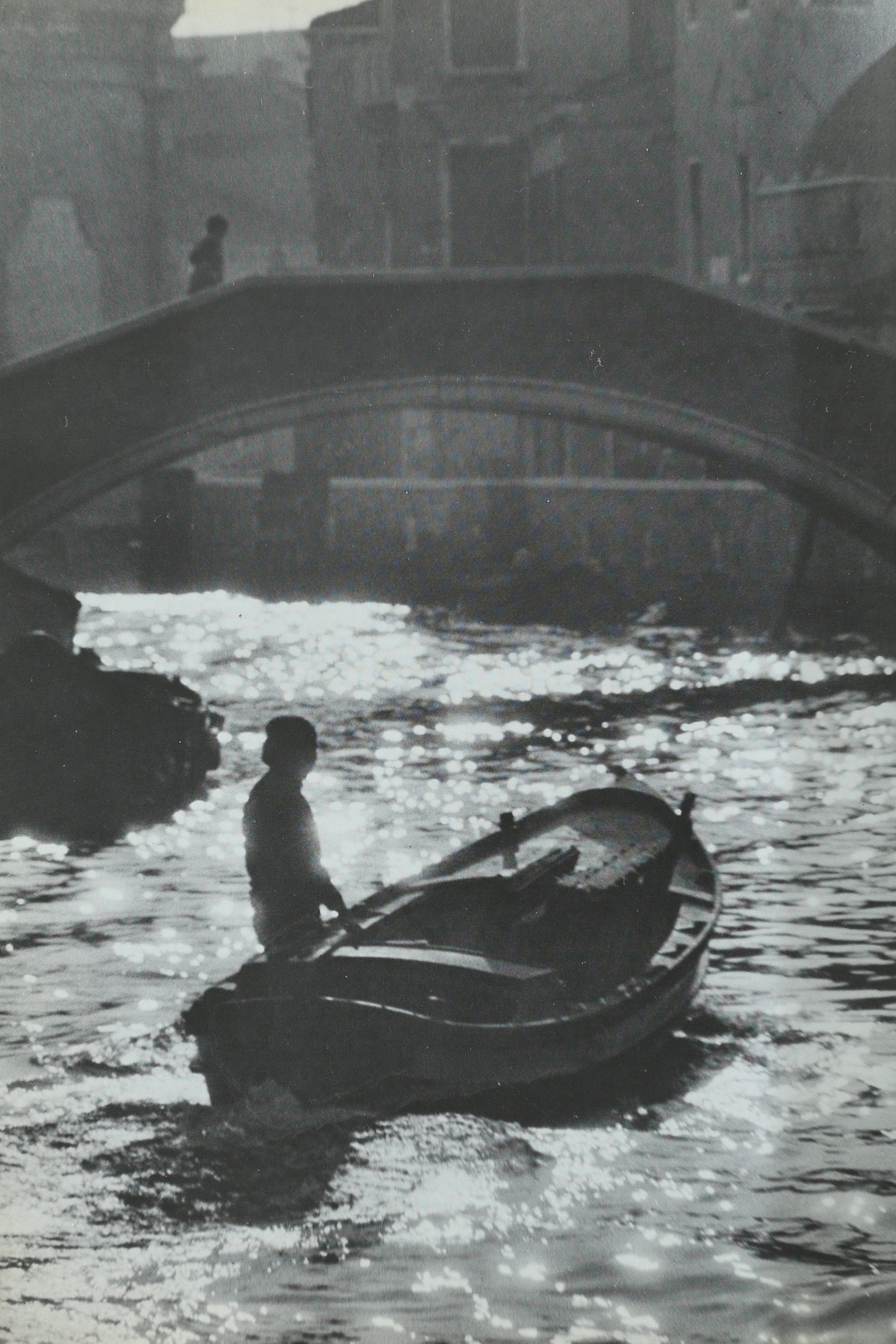 Venice, Frail Barrier: Portrait of a Disappearing City Book
