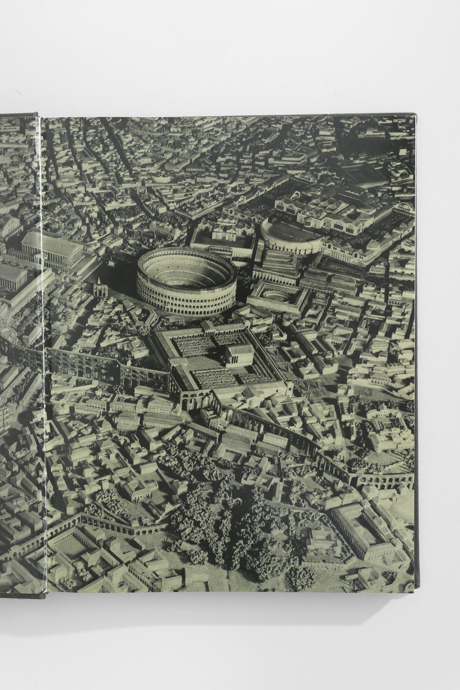 The Colosseum Book