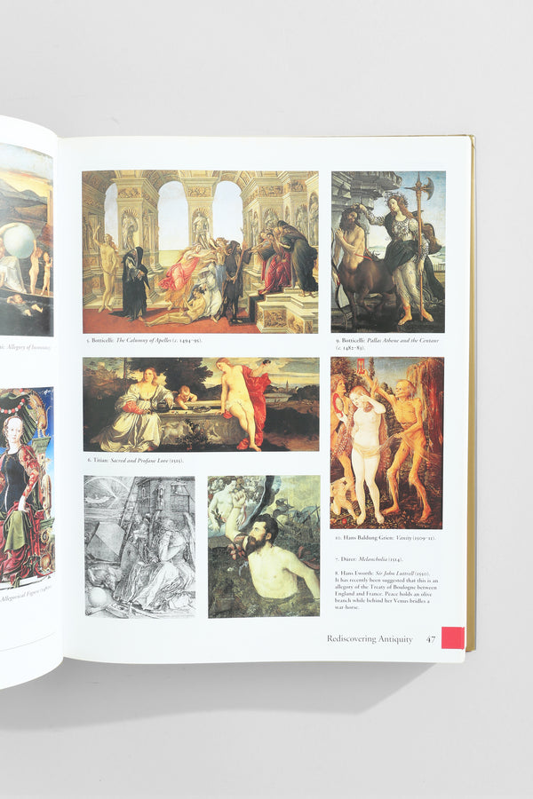 The Panorama of the Renaissance Book