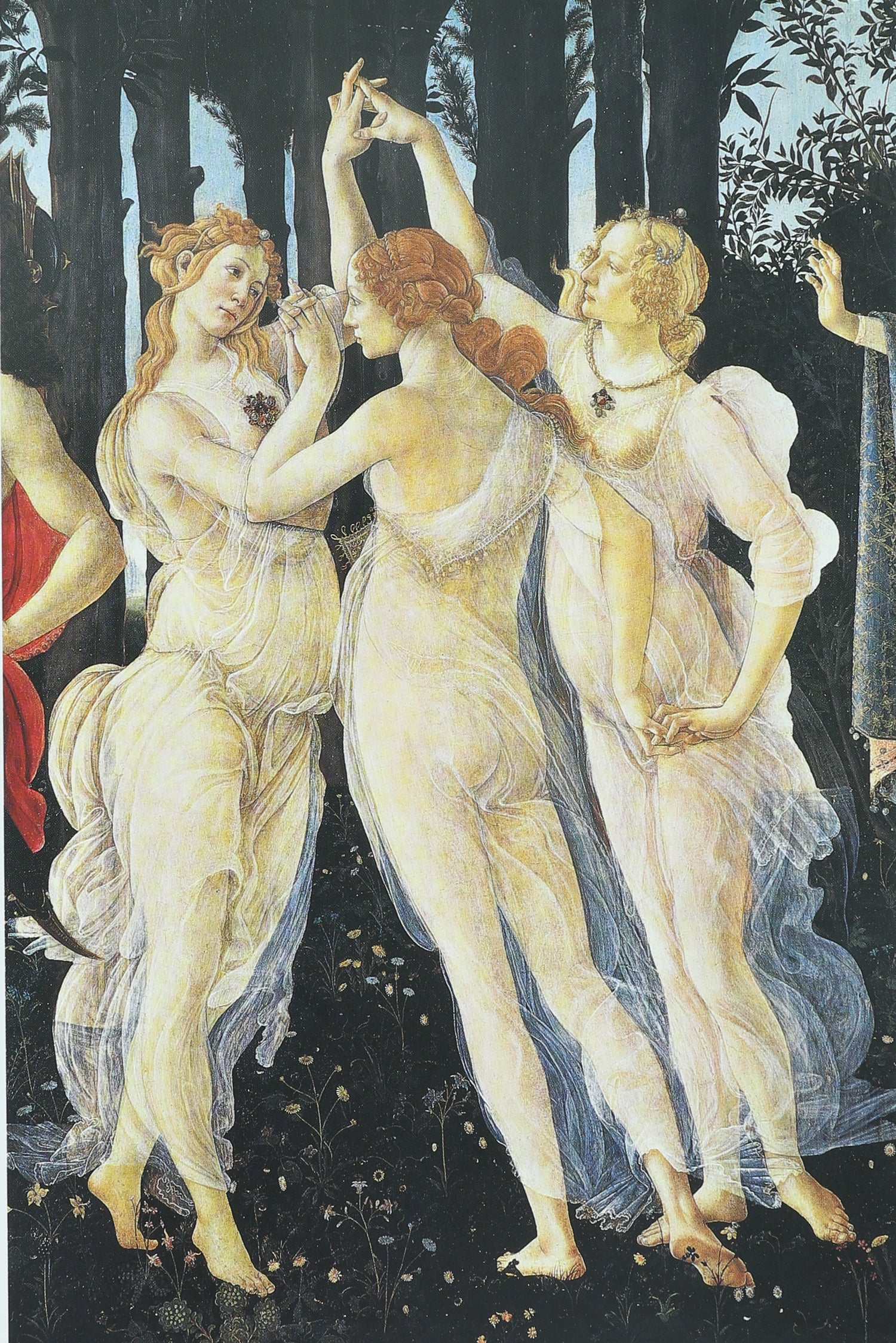 The Panorama of the Renaissance Book