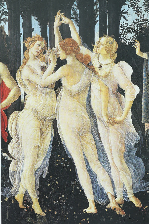 The Panorama of the Renaissance Book