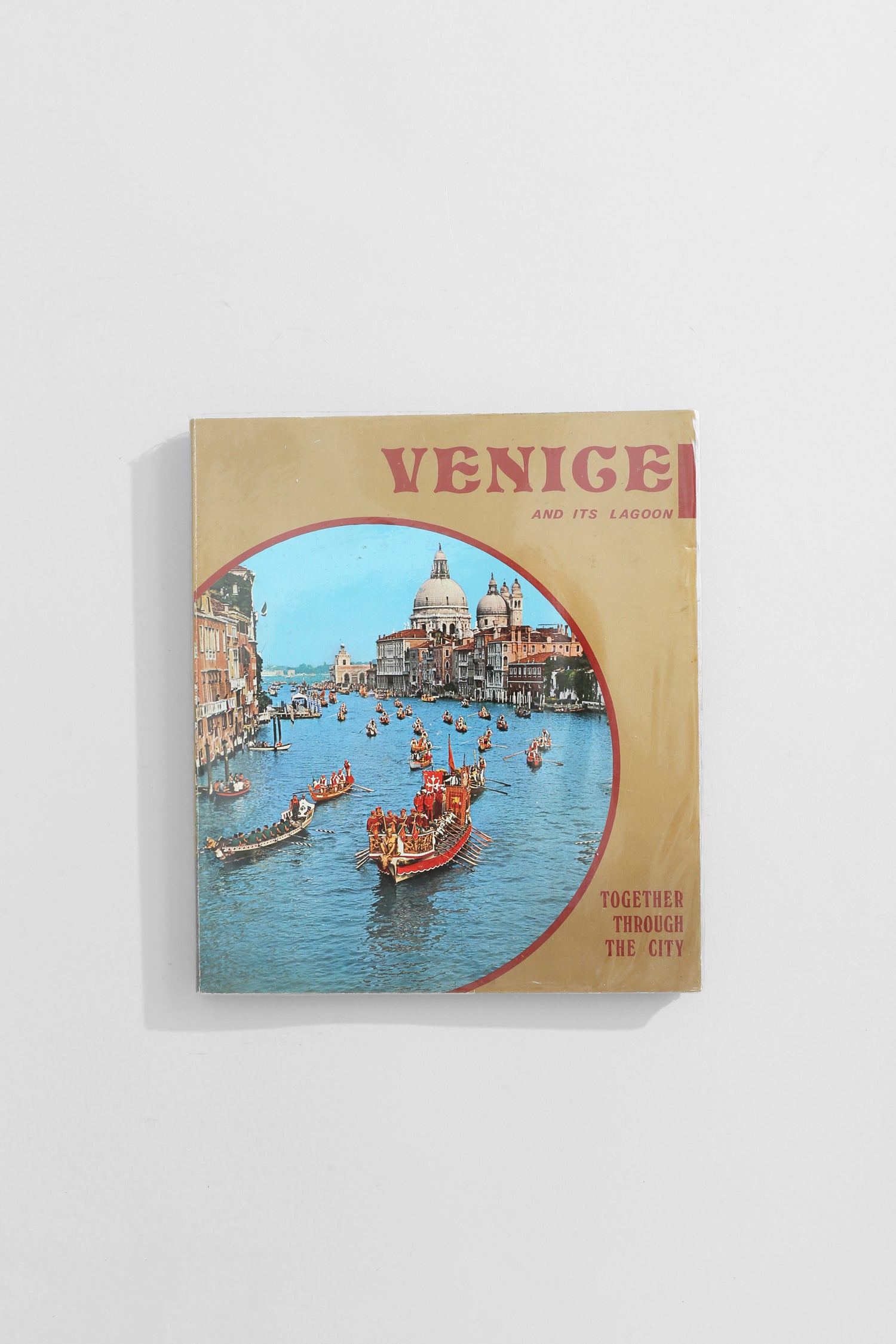 Venice and its Lagoon Book