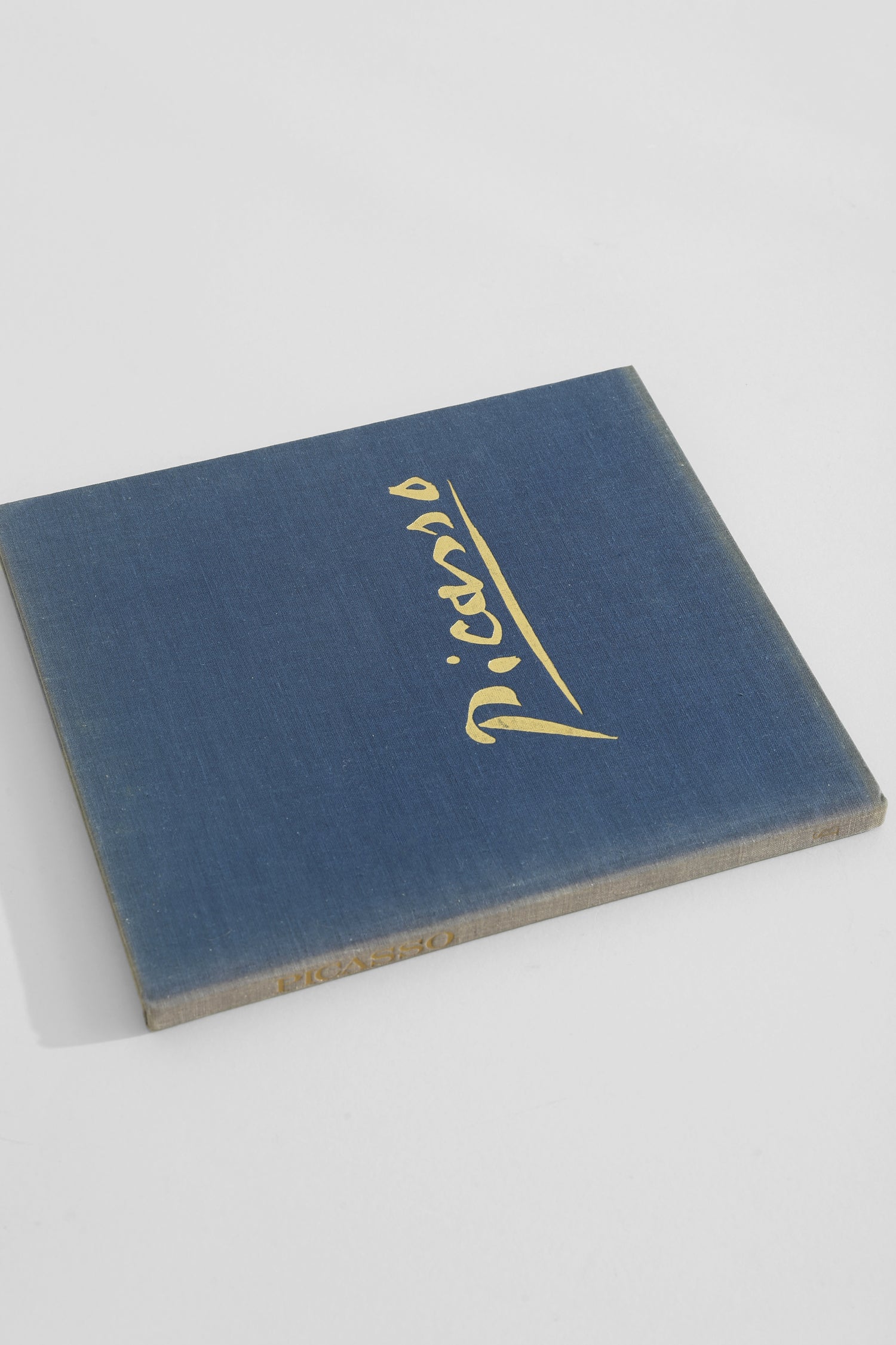 Picasso Book